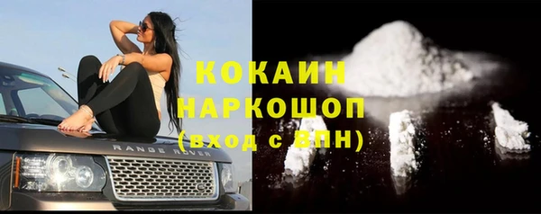 спиды Богданович