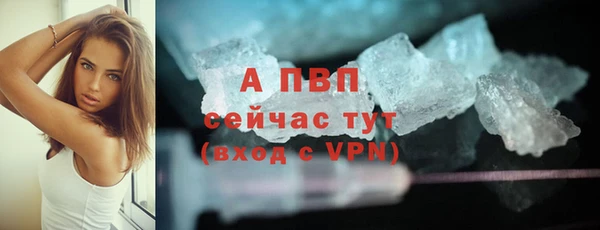 спиды Богданович