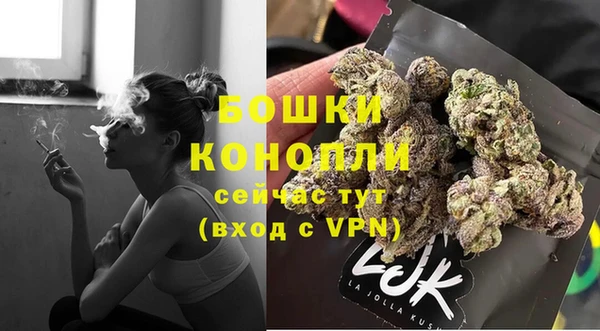 спиды Богданович