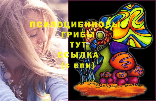 спиды Богданович