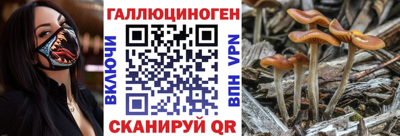 даркнет Telegram  даркнет сайт  Екатеринбург  Галлюциногенные грибы MAGIC MUSHROOMS 